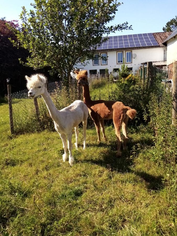 Auw bei PrumHerzfennerhof Mobilheim公寓 外观 照片
